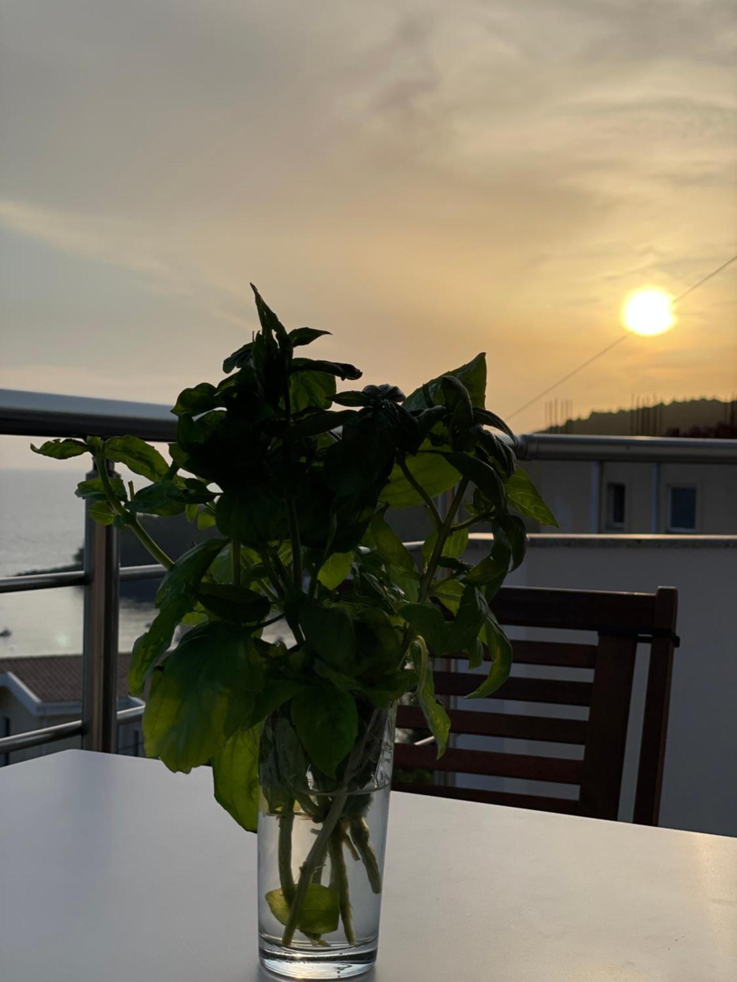 Tasos Rooms ヒマラ エクステリア 写真